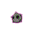 Exotic Minior
